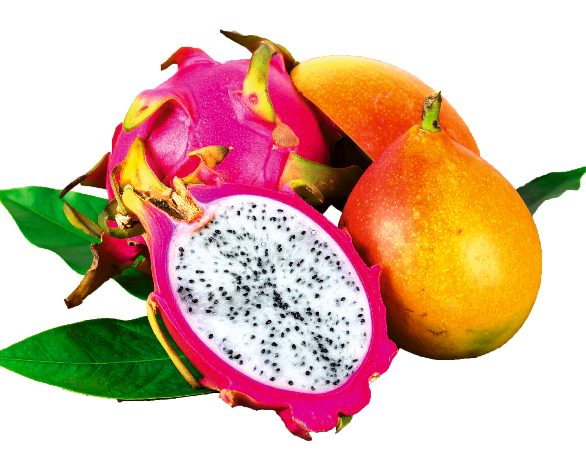 Firefly exotisch fruit 607499